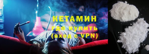 шишки Билибино