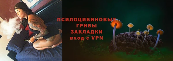 a pvp Надым