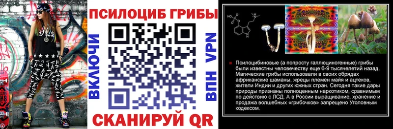 как найти   Поворино  Псилоцибиновые грибы ЛСД 